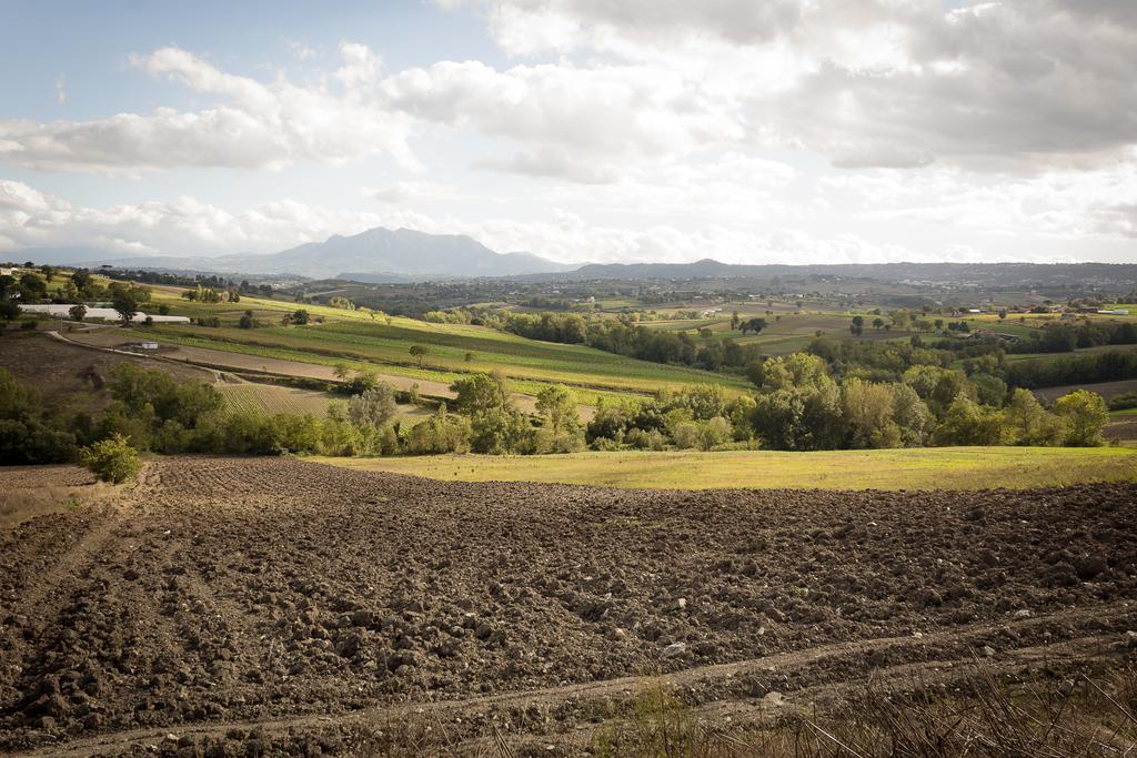 Agriturismo Villa Luisa Apice Dış mekan fotoğraf